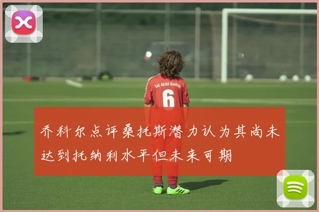 乔科尔点评桑托斯潜力认为其尚未达到托纳利水平但未来可期